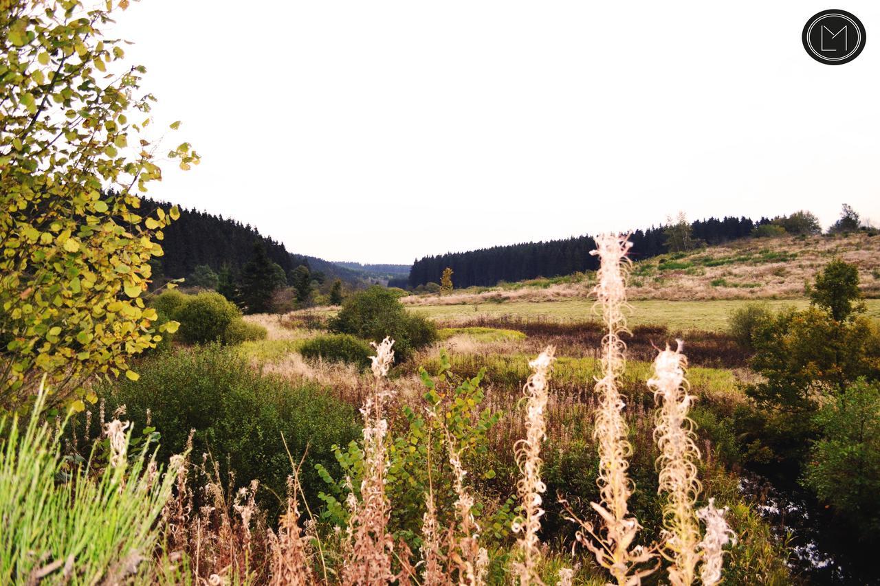 Chalet Le Forestier Bullange Luaran gambar