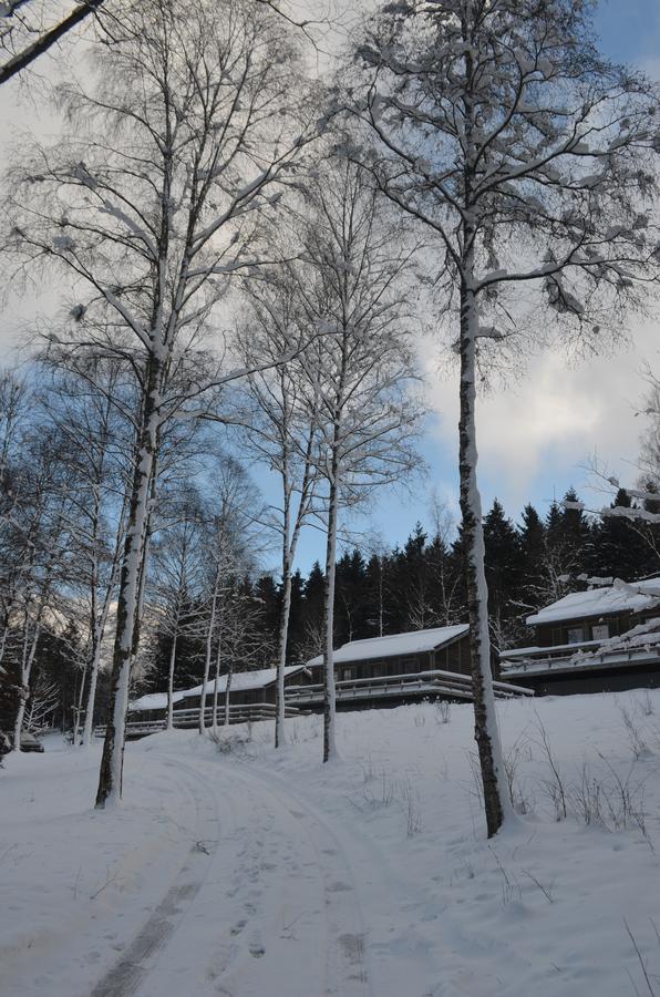 Chalet Le Forestier Bullange Luaran gambar