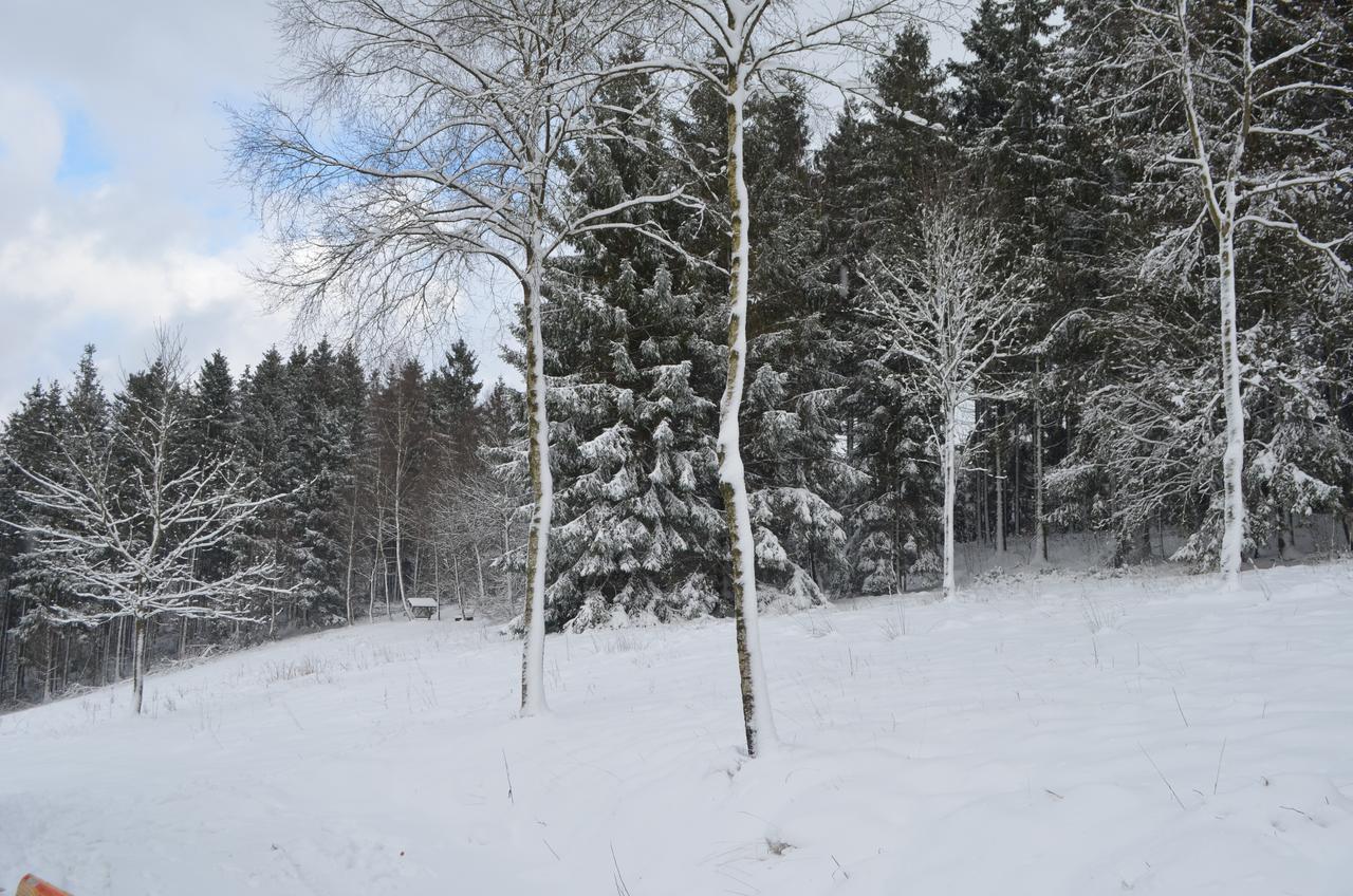 Chalet Le Forestier Bullange Luaran gambar