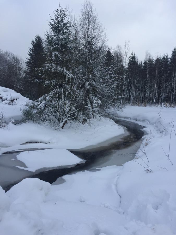 Chalet Le Forestier Bullange Luaran gambar