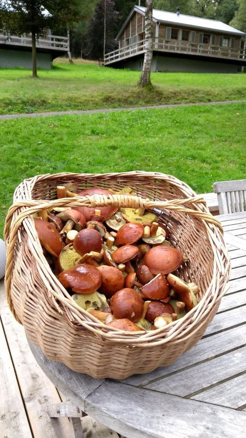 Chalet Le Forestier Bullange Luaran gambar