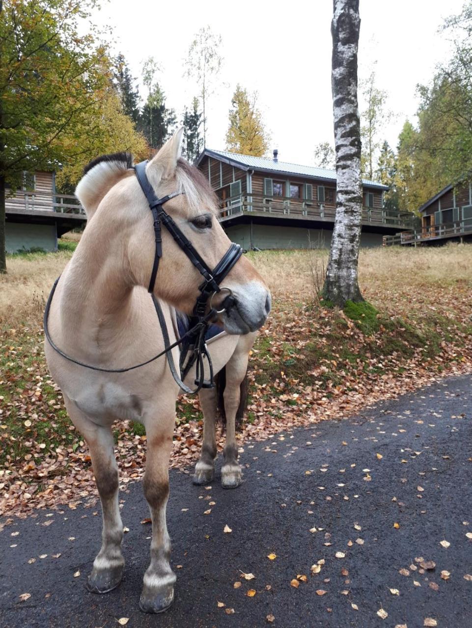 Chalet Le Forestier Bullange Luaran gambar